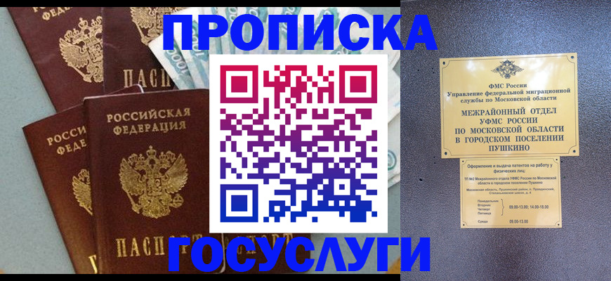 прописка гарантия в Кудрово